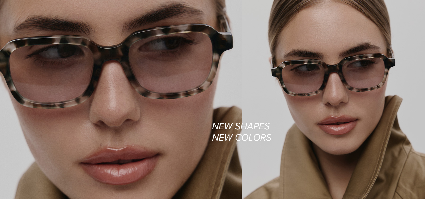 NEW SHAPES, NEW COLORS