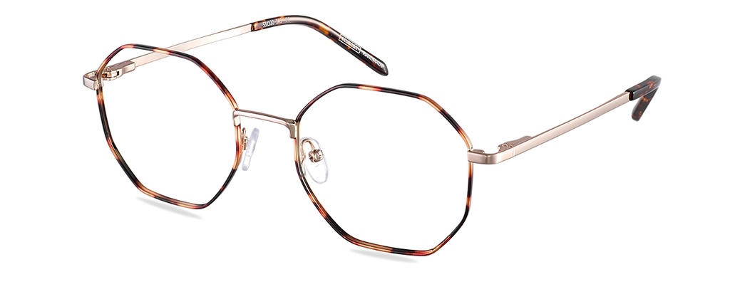 Okulary korekcyjne Brighton Gold Havana/Dark Havana