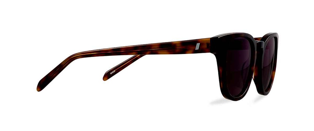 Okulary przeciwsłoneczne Max Warm Tortoise