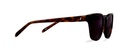 Okulary przeciwsłoneczne Max Warm Tortoise