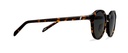 Okulary przeciwsłoneczne Simon Dark Havana