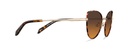 Okulary przeciwsłoneczne Sofia Gold Havana/Dark Havana
