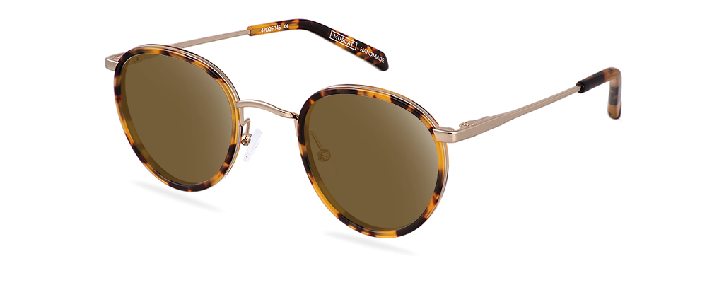 Okulary przeciwsłoneczne Sydney Gold/Havana Sun