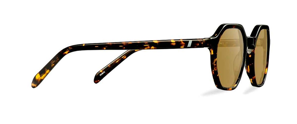 Okulary przeciwsłoneczne Taylor Dark Havana