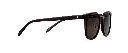 HOPE BRUNETTE SUN 3.webp