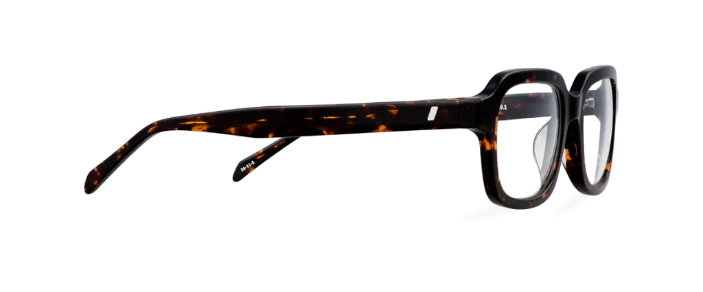 OLLIE DARK HAVANA 3.webp