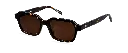 OLLIE DARK HAVANA SUN 2.webp