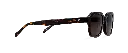 OLLIE DARK HAVANA SUN 3.webp