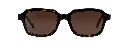 OLLIE DARK HAVANA SUN.webp