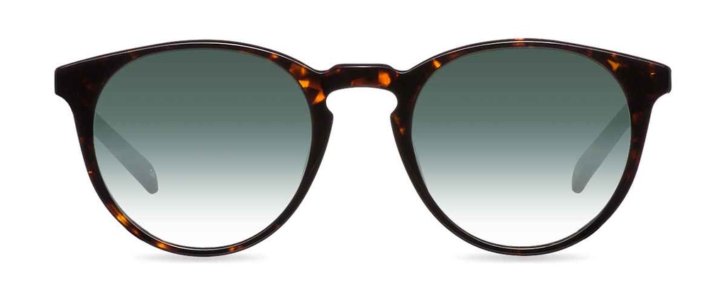 Okulary przeciwsłoneczne Ellis Wide Dark Havana