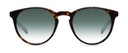 Okulary przeciwsłoneczne Ellis Wide Dark Havana