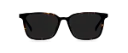 Okulary przeciwsłoneczne Louis Wide Dark Havana