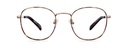Okulary zerówki Leo Gold Havana/Dark Havana