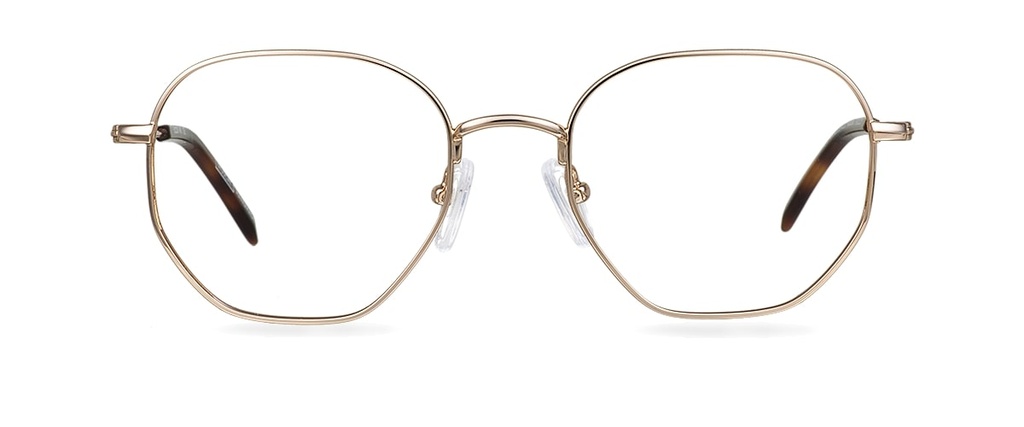 Okulary korekcyjne Arthur Gold/Spiced Havana