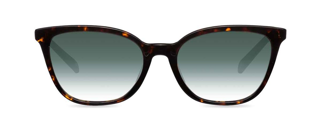Okulary przeciwsłoneczne Renee Dark Havana