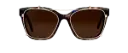 Clip on Sun Ann Gold/Brown