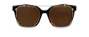 Clip on Sun Maggie Gold/Brown