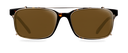 Clip on Sun Stark Gold/Brown