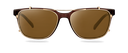 Clip on Sun Lucas Gold/Brown