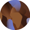 Kolor frontu: HAVANA MOONLIGHT