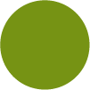 Kolor frontu: JUICY GREEN
