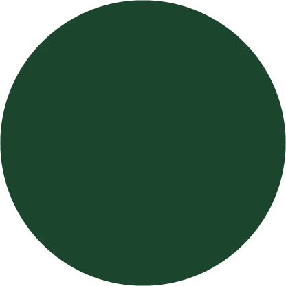 Kolor frontu: BOTTLE EMERALD