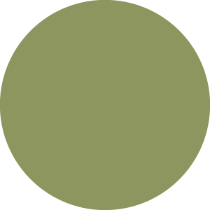 Kolor frontu: SAGE
