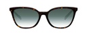 Okulary przeciwsłoneczne Renee Dark Havana